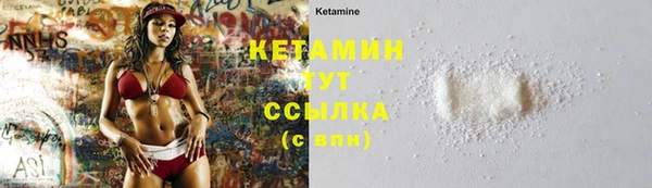 индика Надым