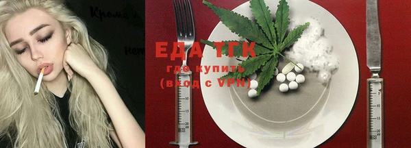 индика Надым