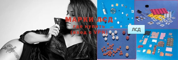 индика Надым