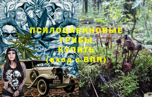 индика Надым