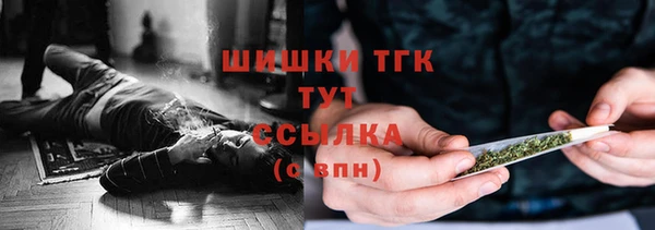 индика Надым
