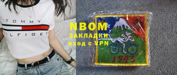 индика Надым