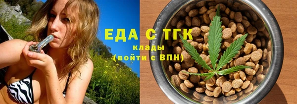 индика Надым