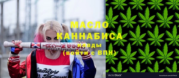 индика Надым