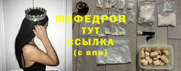 индика Надым