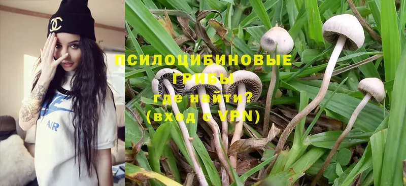 Галлюциногенные грибы MAGIC MUSHROOMS  закладки  Новоаннинский 