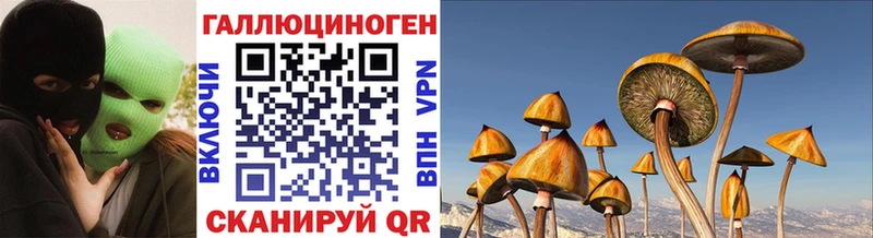 наркошоп  Новоаннинский  Галлюциногенные грибы мицелий 
