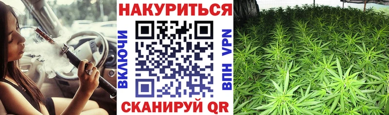 хочу наркоту  Новоаннинский  МАРИХУАНА MAZAR 